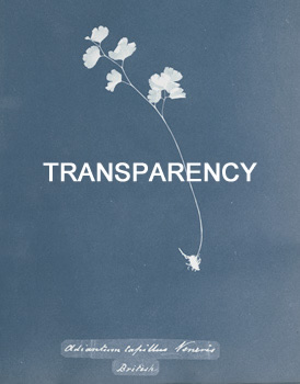 Transparency